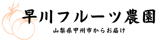 早川フルーツ農園 – 山梨の桃・すももを産直通販